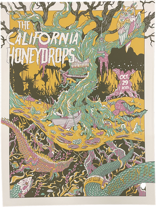 Washington DC 10/29/2023 Tour Poster