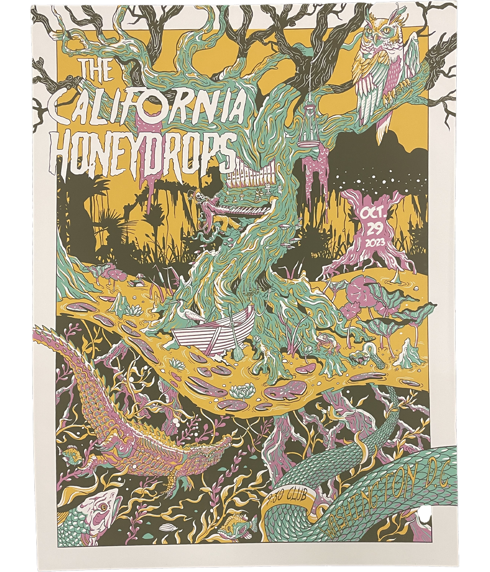 Washington DC 10/29/2023 Tour Poster