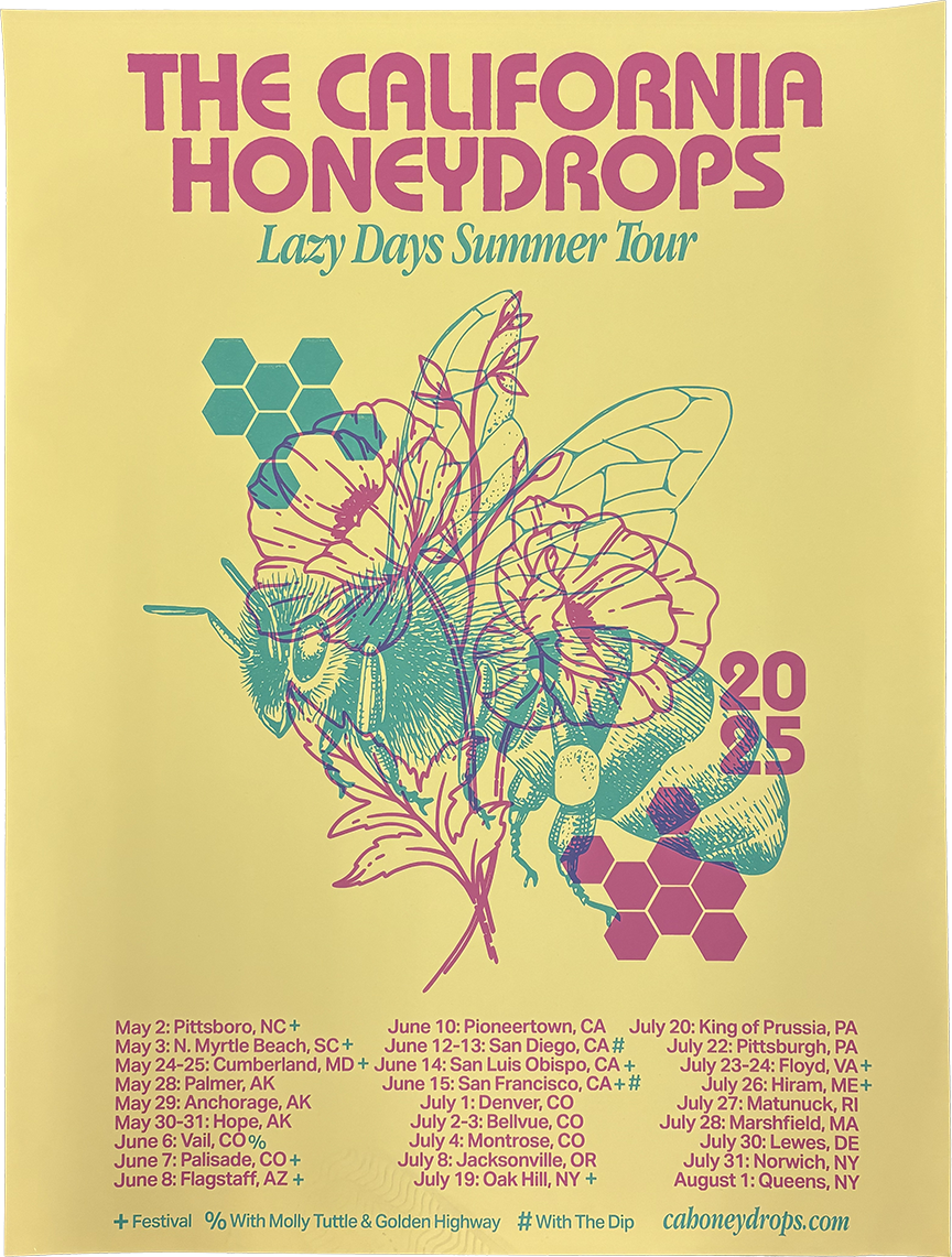 Lazy Days 2025 Tour Poster