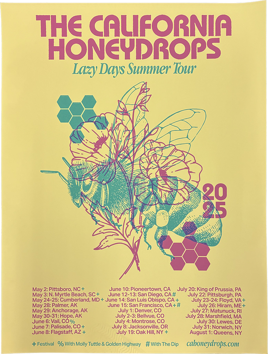 Lazy Days 2025 Tour Poster