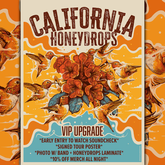 VIP Tour Upgrade (Purchase at Link In Description)