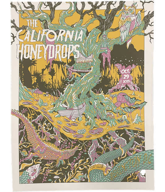 Washington DC 10/29/2023 Tour Poster