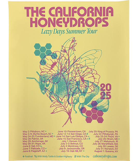 Lazy Days 2025 Tour Poster